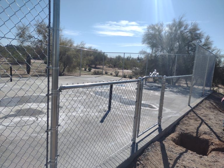 WhatsApp Image 2026-02-13 at 10.33