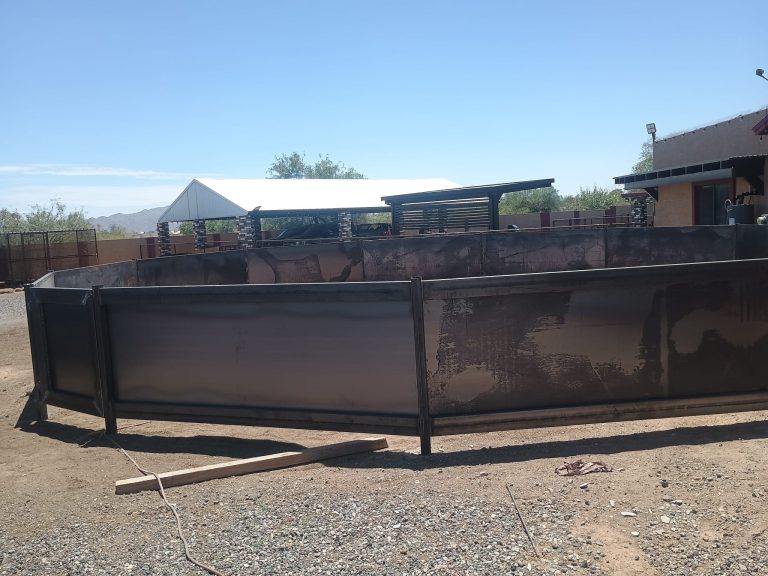 WhatsApp Image 2026-02-13 at 10.41